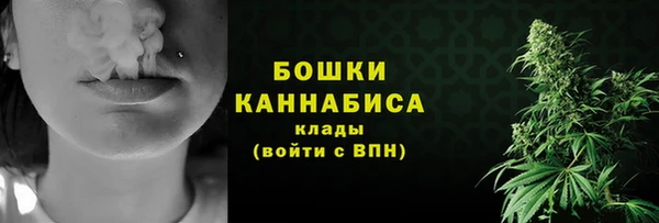 дурь Гусиноозёрск