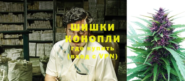 дурь Гусиноозёрск