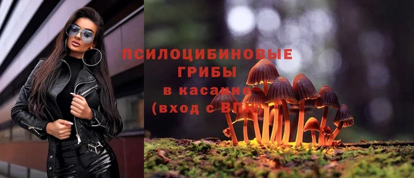 соль курить ск Гусь-Хрустальный
