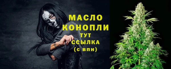 дурь Гусиноозёрск