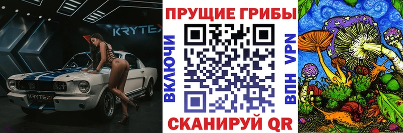 Галлюциногенные грибы ЛСД  это телеграм  Дегтярск  закладка 